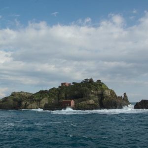 Acireale Bottom