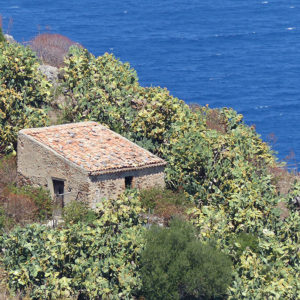 Tindari 3
